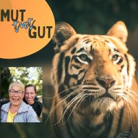 MUT tut GUT Online Workshop